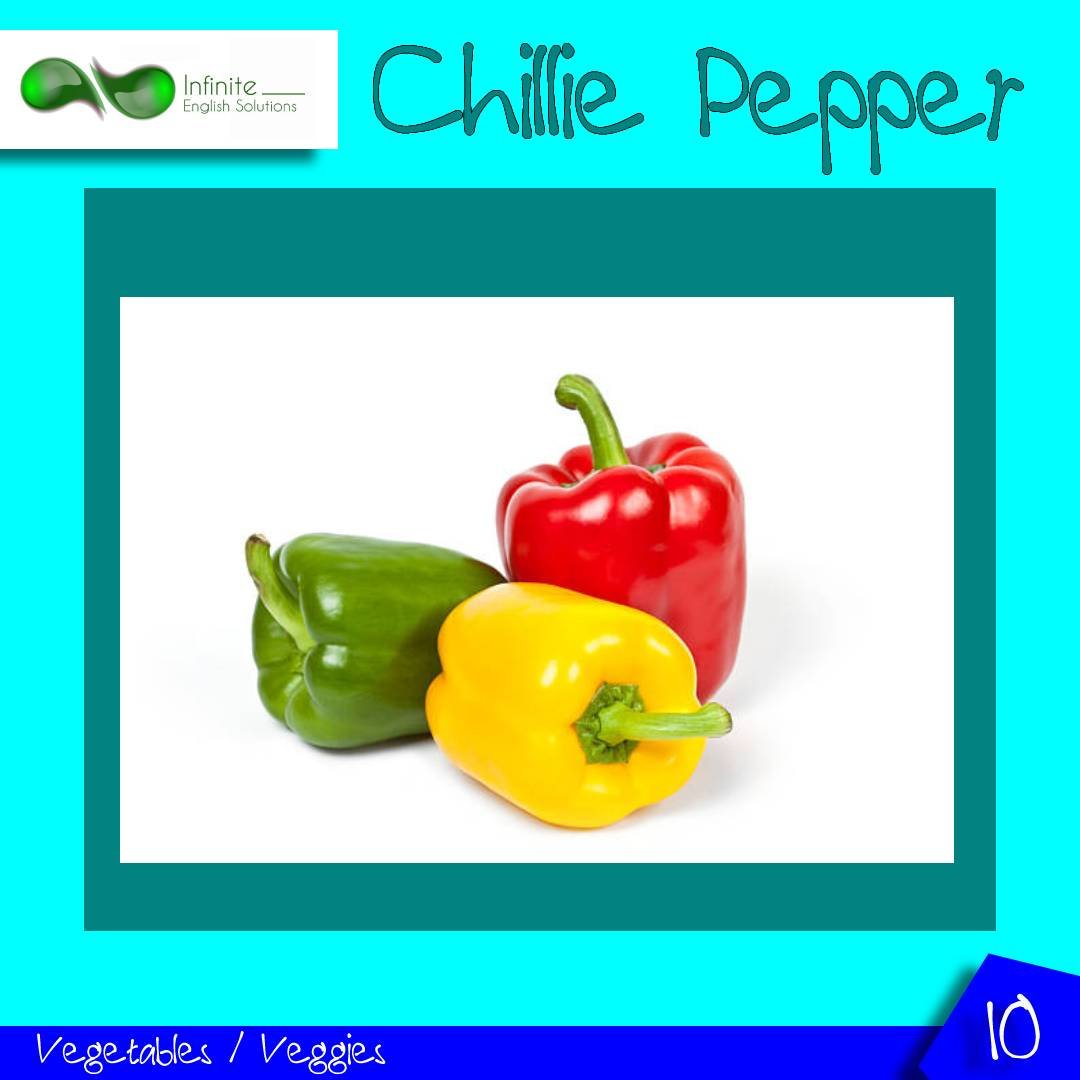 Vocabulario Ingles Para Principiantes