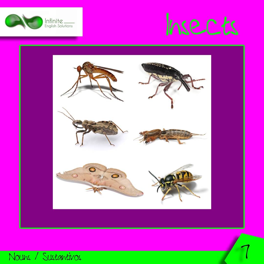 Vocabulario Ingles Para Principiantes