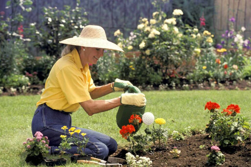 Talking About Favorite Hobbies: Gardening