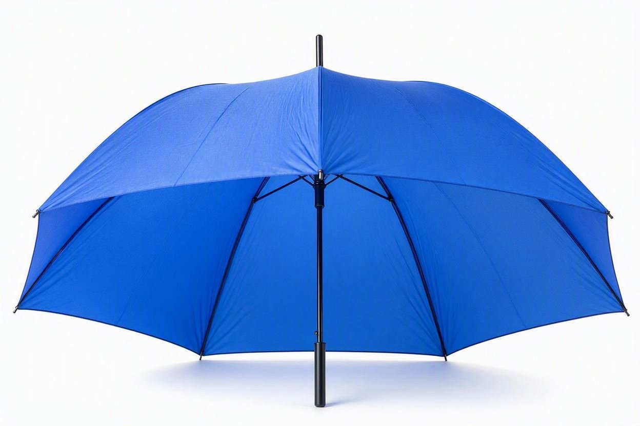 An umbrella