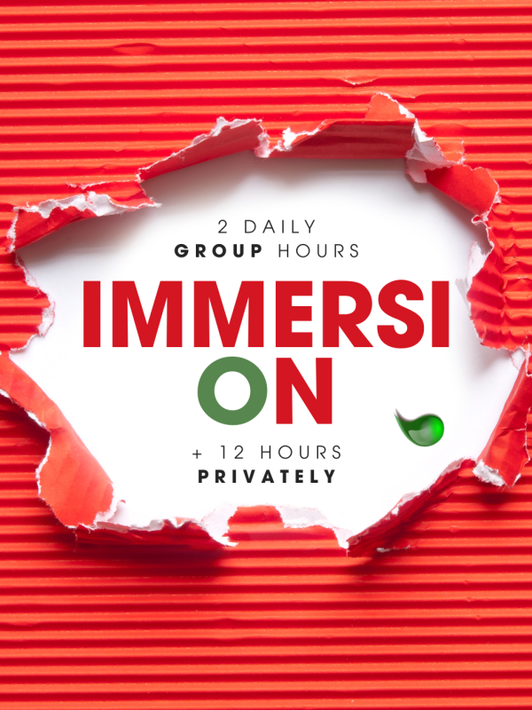 Plan de Inmersión — Curso de Inglés por Inmersión en Guatemala curso de inglés por inmersión en Guatemala con clases grupales y privadas